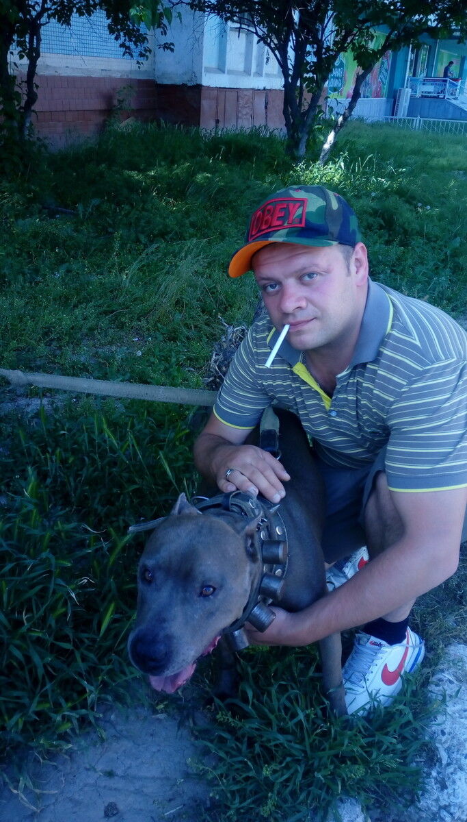 ���� 10638487 ������� ���, 38 ���, ���� ���������� � ��������