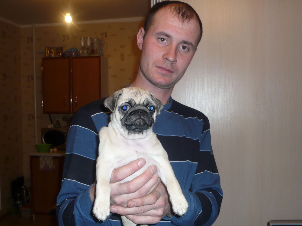 ���� 4250547 ������� ���, 44 ����, ���� ���������� � ���������� ������