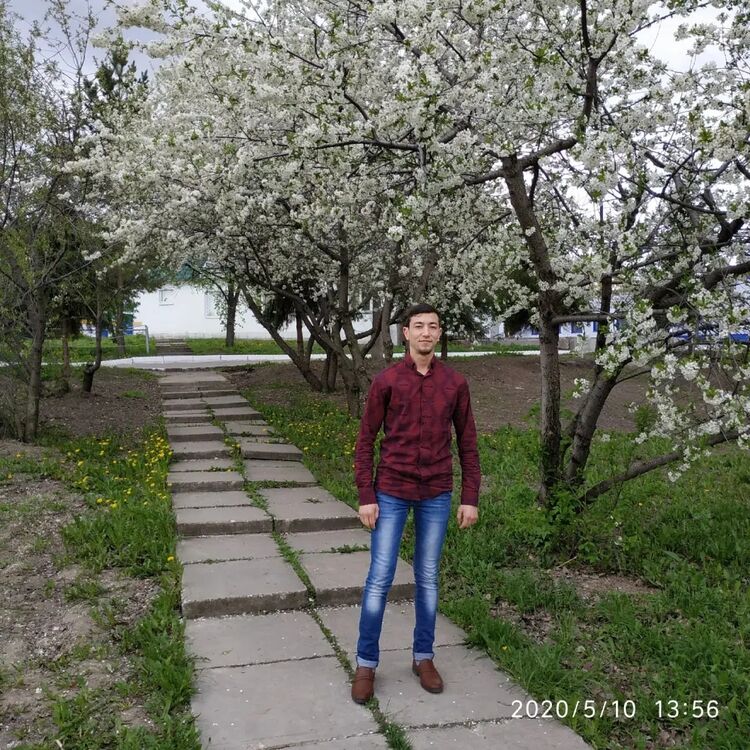 ���� 25031397 ������� �����, 31 ���, ���� ���������� � ������