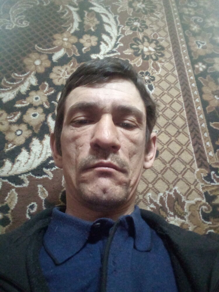  33865217  , 41 ,    
