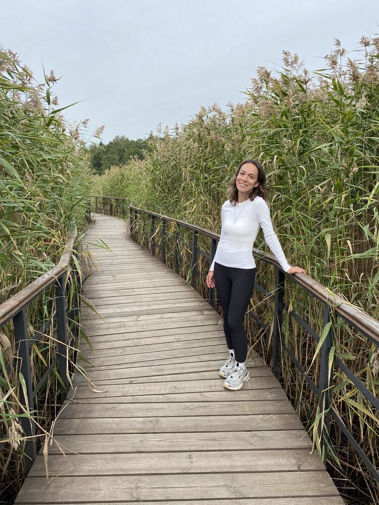  54309187  , 43 ,    -