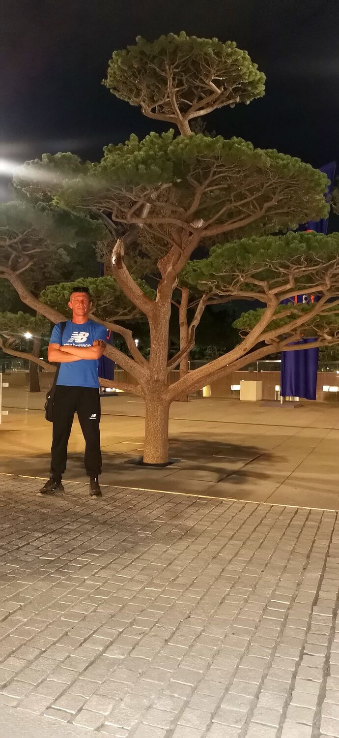 ���������� ���������, ���� ������� ������, 38 ���, ������������ ��� ������, ����� � ���������, c�������� ���������, ���������