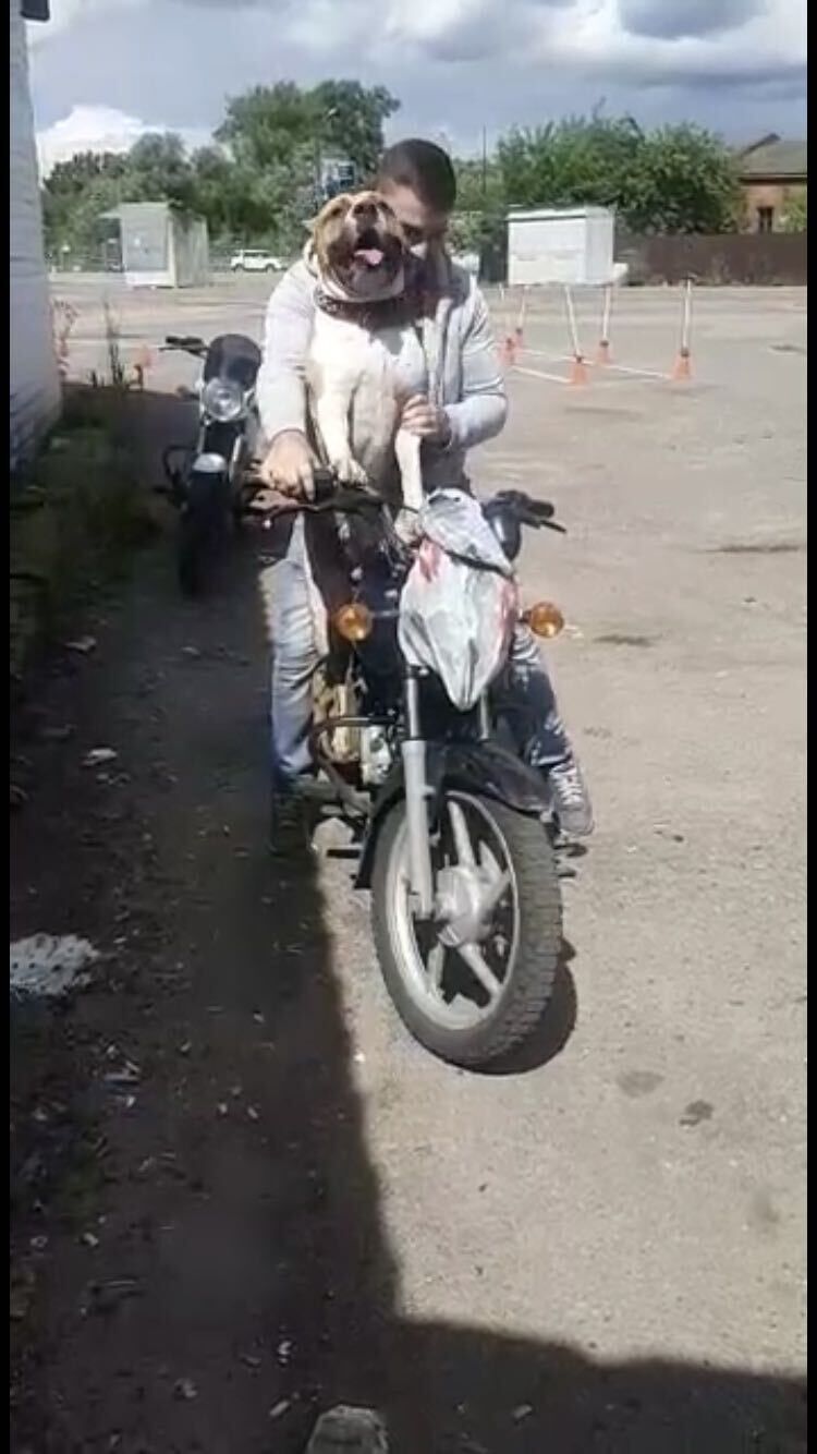 ���������� �����, ���� ������� Serg, 37 ���, ������������ ��� ������, ����� � ���������