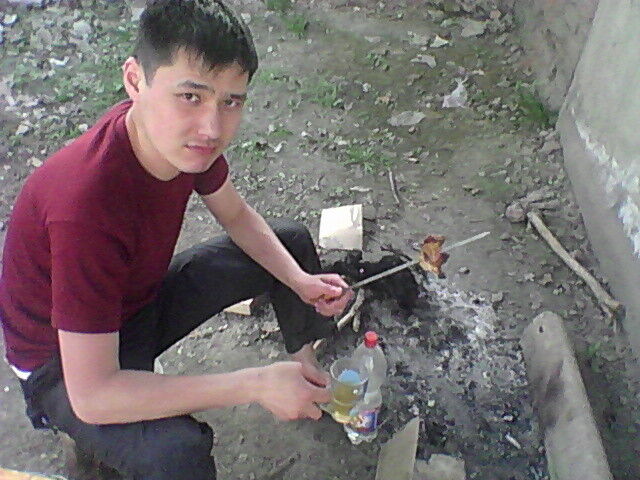  4255567  Bagdat, 40 ,    