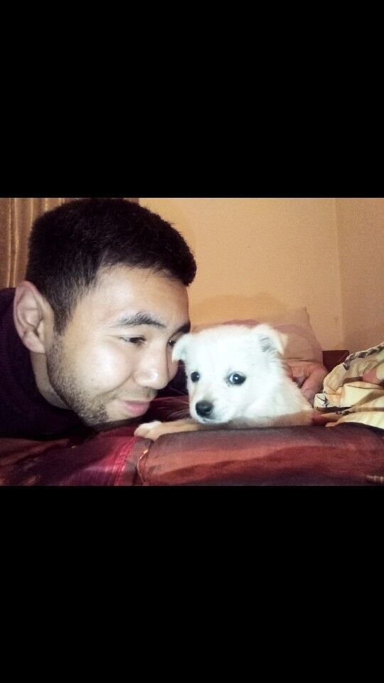 ���� 16338427 ������� ��������, 29 ���, ���� ���������� � ������