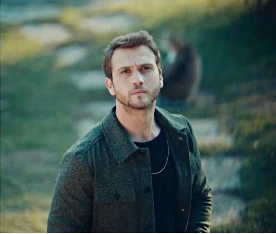 ���� 26924637 ����� ������, 24 ����, ���� ���������� � �������