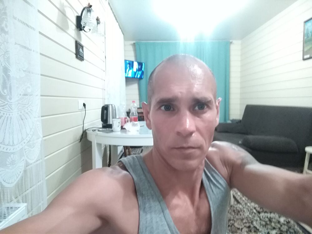  39244917  , 41 ,    