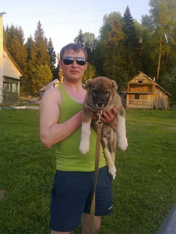 ���� 54924407 ������� �����, 38 ���, ���� ���������� � �����