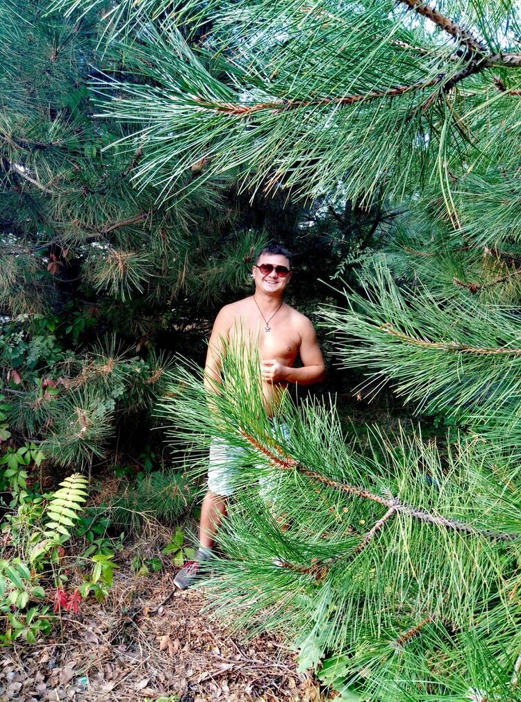 ���������� ����������, ���� ������� ���������, 37 ���, ������������ ��� ������, ����� � ���������, c�������� ���������