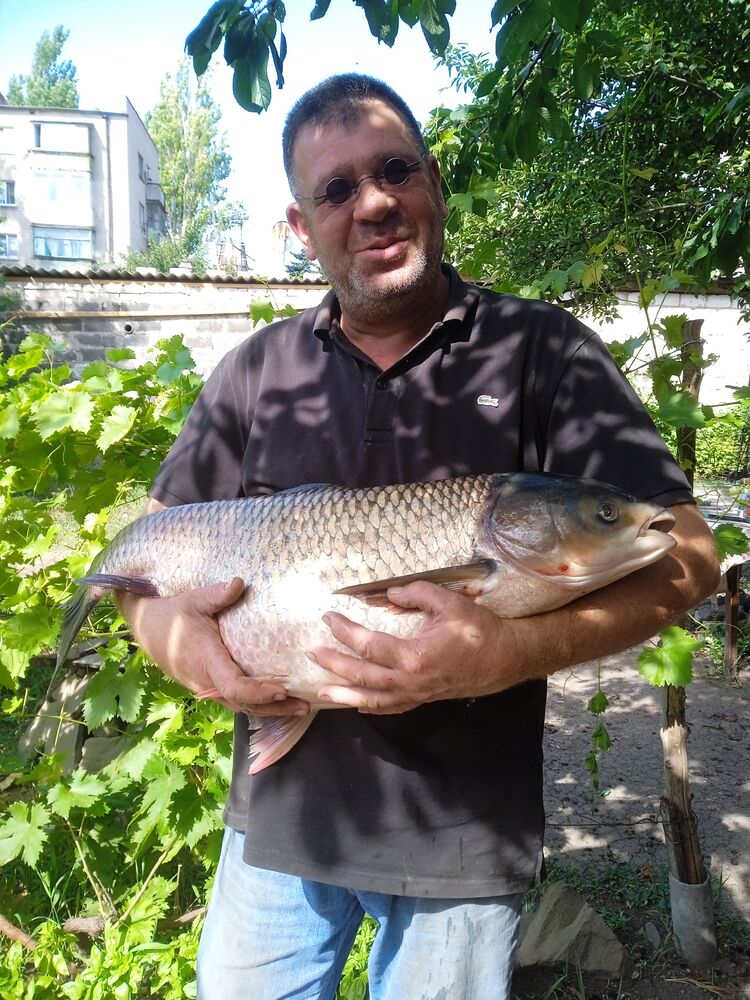 ,   , 48 ,   ,   