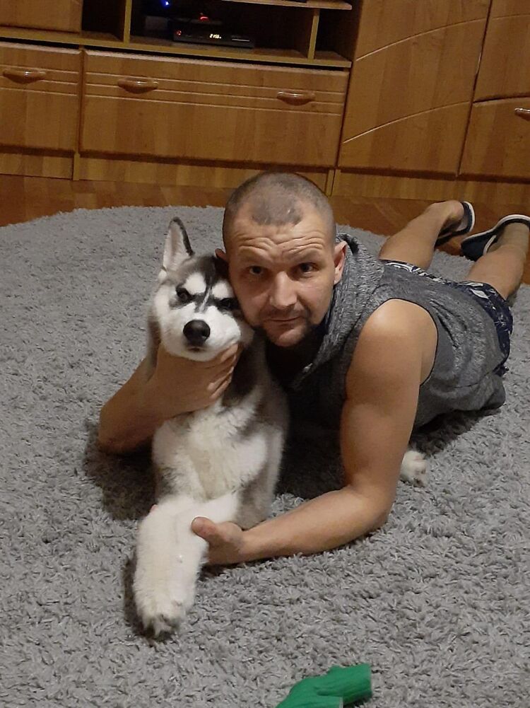 ���� 41469927 ������� �������, 42 ����, ���� ���������� � ������