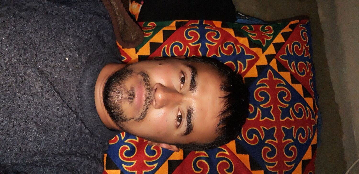  33037537  , 31 ,    -