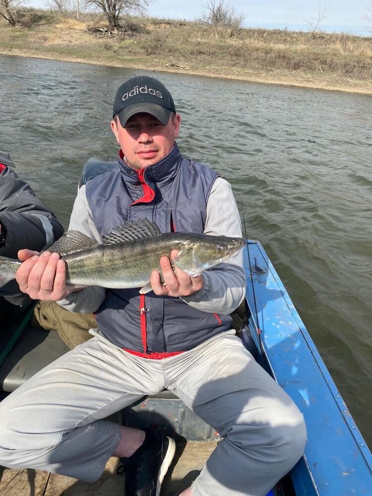 ���������� ������, ���� ������� �������, 39 ���, ������������ ��� ������, ���������