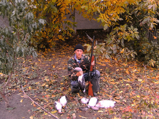 ���� 16154067 ������� ������, 45 ���, ���� ���������� � �����