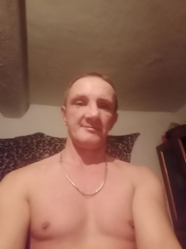  31401487  , 50 ,    -