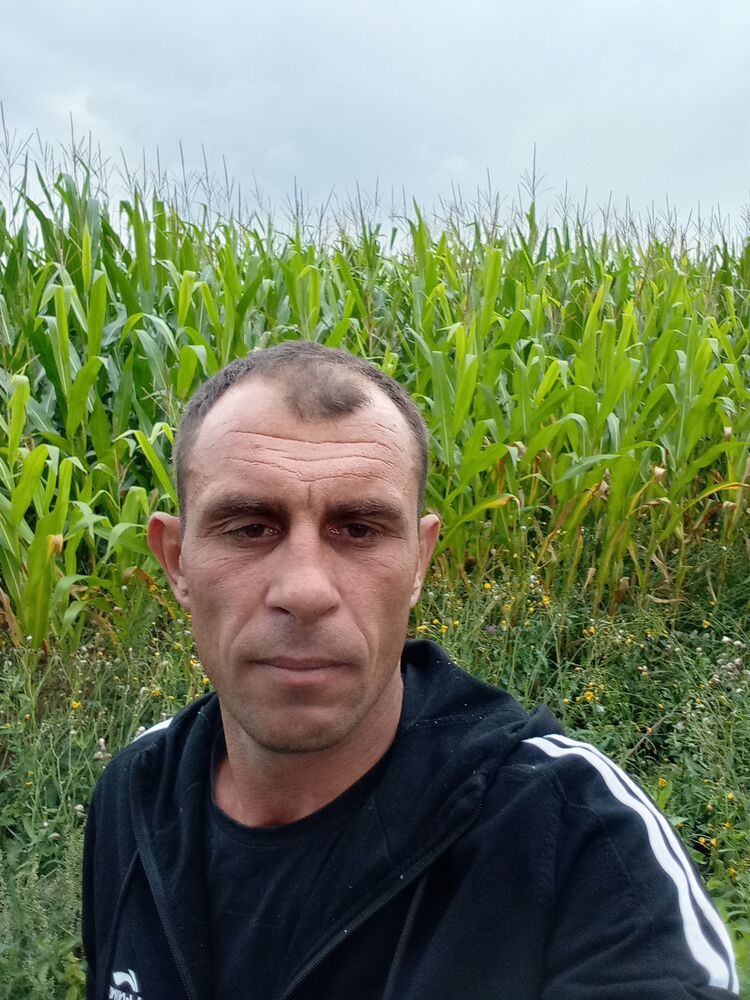  45502717  , 40 ,    
