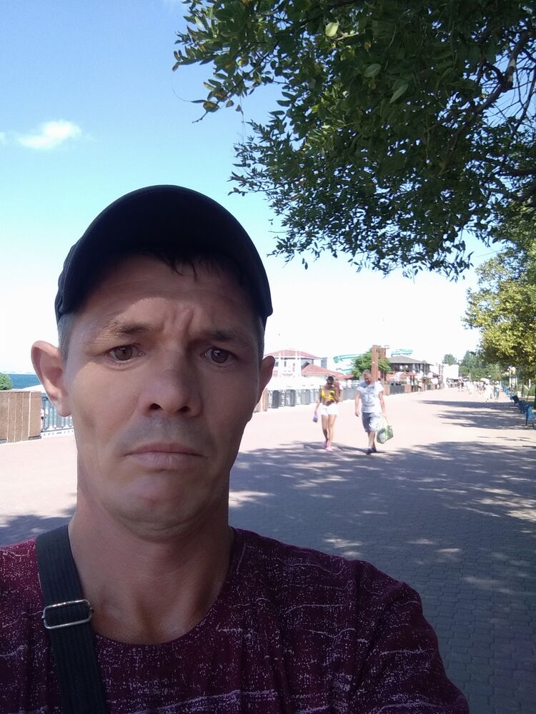  37881507  , 39 ,    