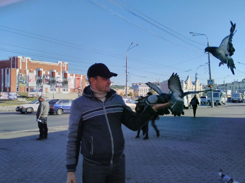 ���������� �������, ���� ������� ����, 49 ���, ������������ ��� ������, ����� � ���������, c�������� ���������