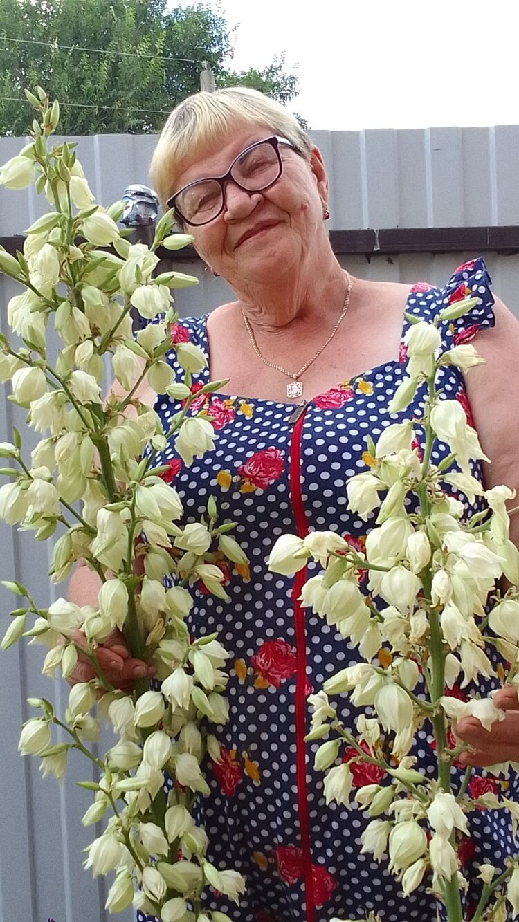 ���� 50704327 ������� ����, 67 ���, ���� ���������� � �������-��-����