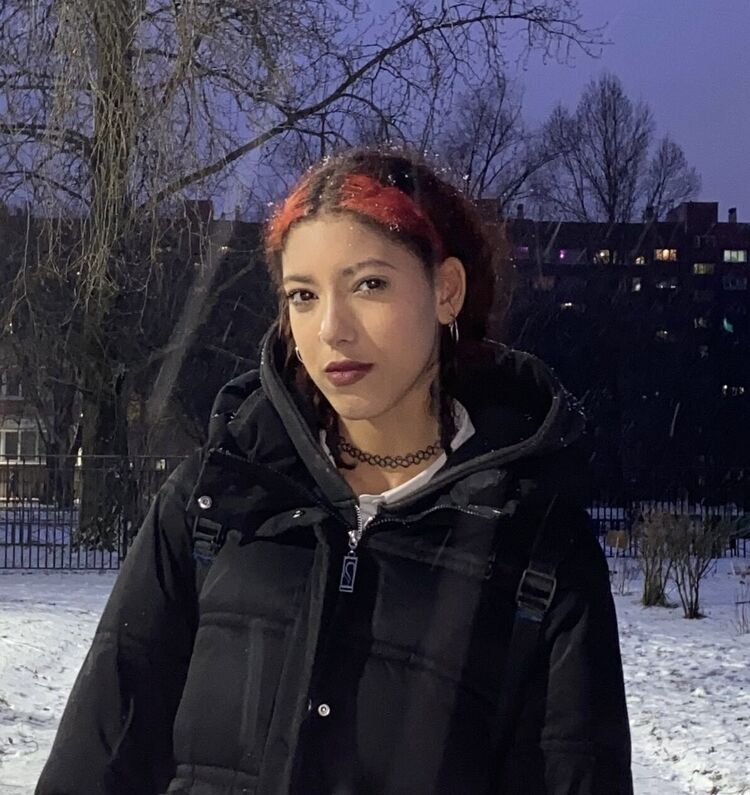 ���� 55175287 ������� �����, 20 ���, ���� ���������� � ������