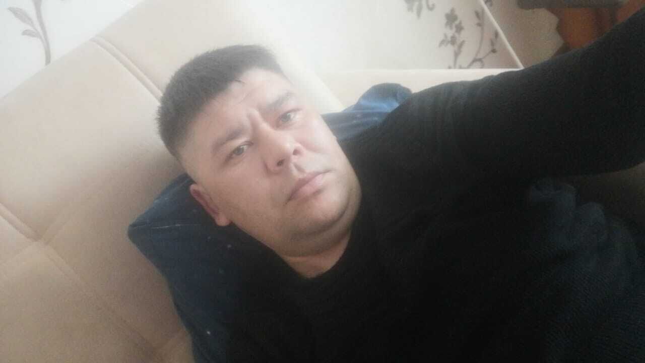  42381527  , 37 ,    