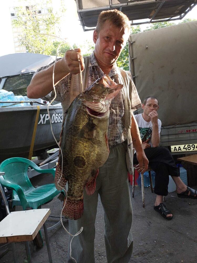 ���������� ���������, ���� ������� �������, 43 ����, ������������ ��� ������, ����� � ���������