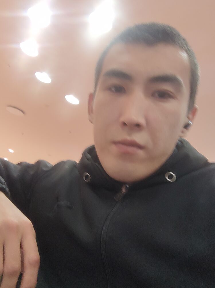  37666747  , 26 ,    