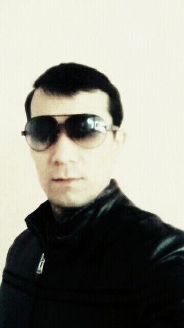  15916637  , 43 ,    -