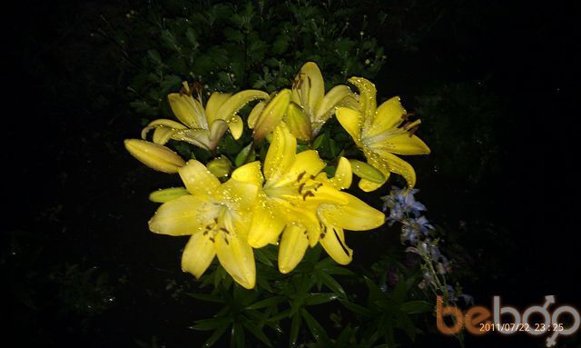 ���� 1023467 ������� �����, 41 ���, ���� ���������� � ������