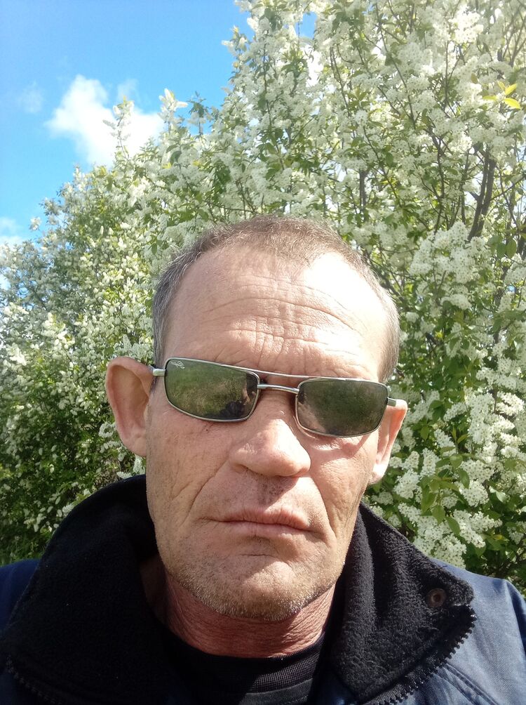  43055967  , 46 ,    