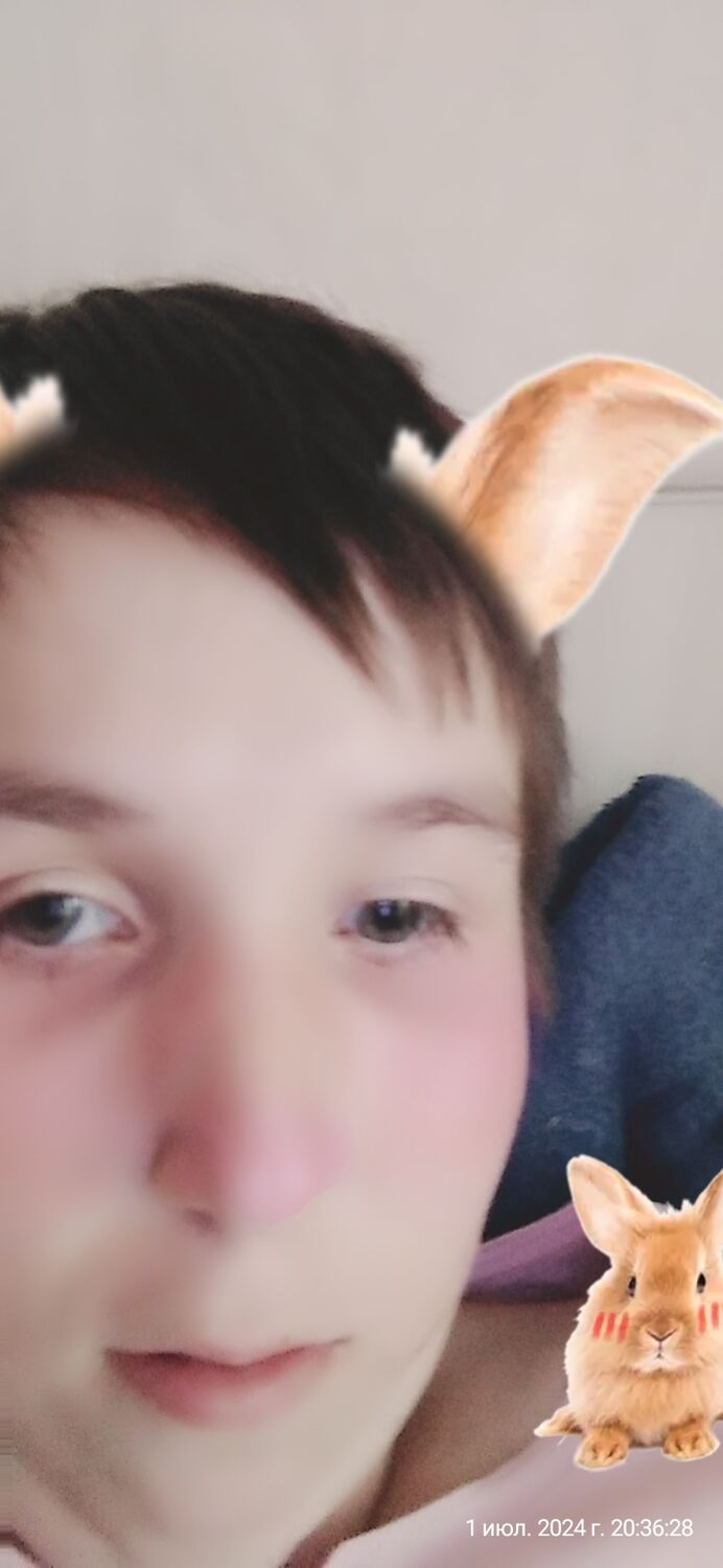 ���������� ���, ���� ����� �����, 24 ����, ������������ ��� ������, ����� � ���������