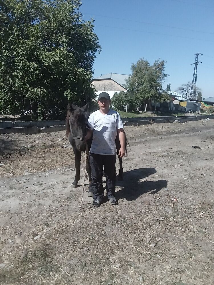  21279597  Vovka, 40 ,    