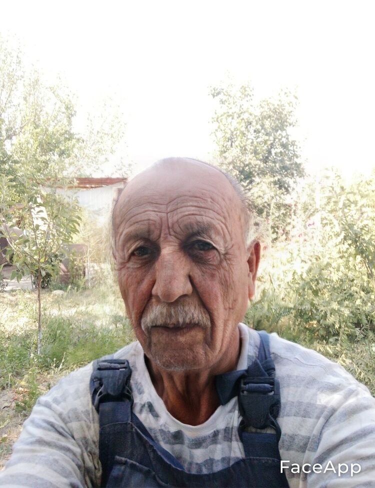 ���� 20519037 ������� ����, 49 ���, ���� ���������� � �������