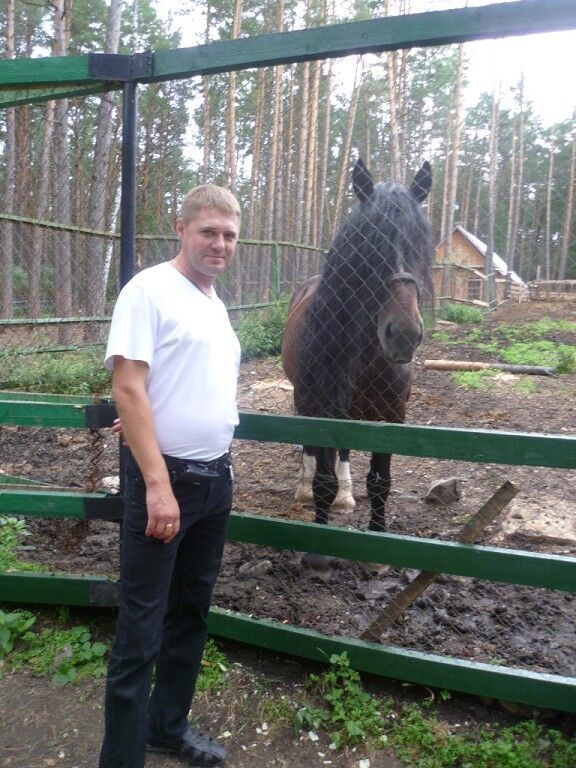 ���� 5009237 ������� Vrto, 34 ����, ���� ���������� � �������