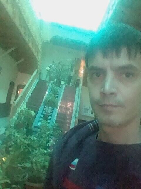  20814837  , 42 ,    