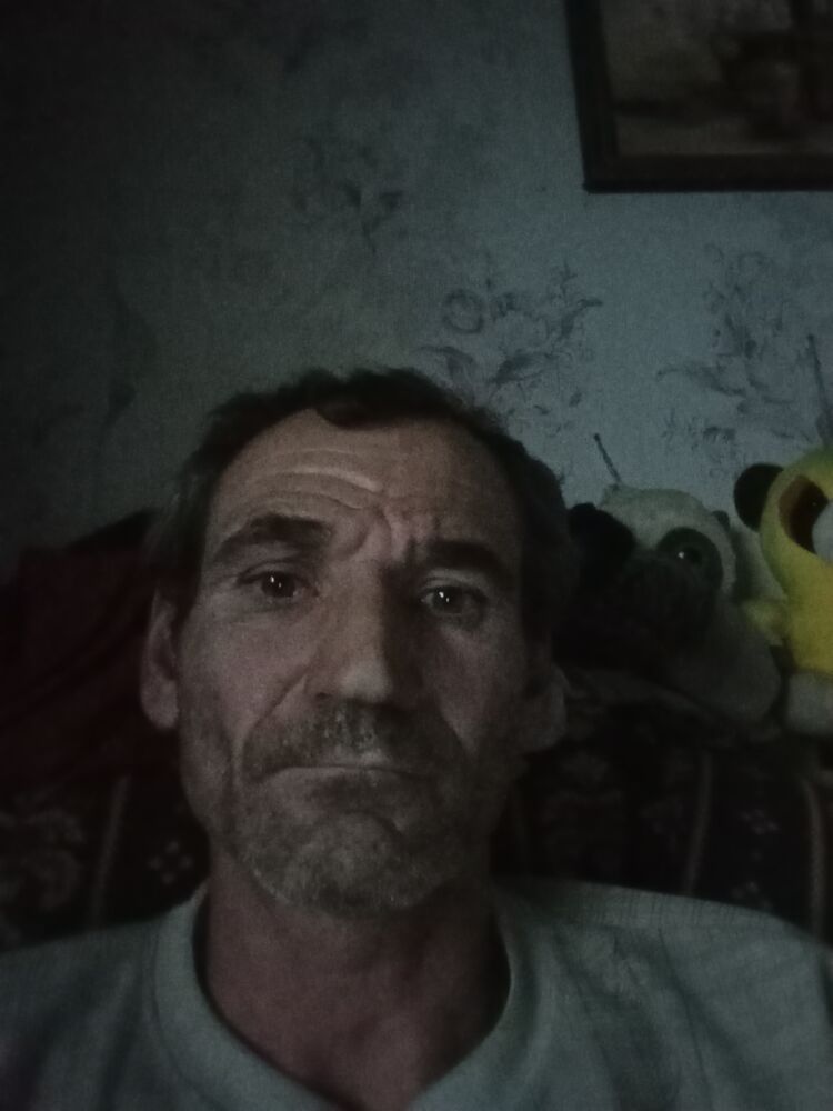  48276047  , 44 ,    