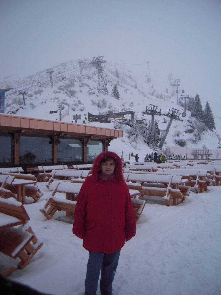  24386387  Iulia, 62 ,    