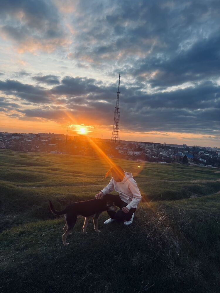 ���������� �����������, ���� ������� �����, 26 ���, ������������ ��� ����� � ���������, c�������� ���������