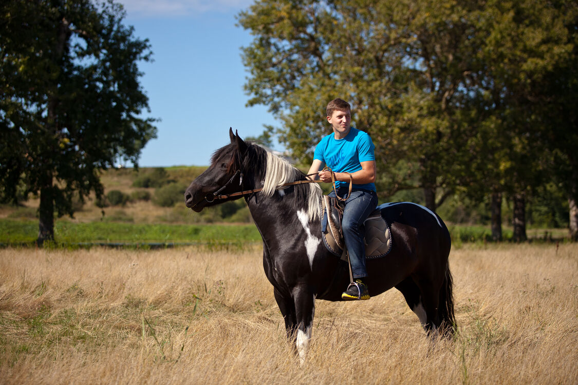 ���� 44991627 ������� �������, 41 ���, ���� ���������� � �����-����������