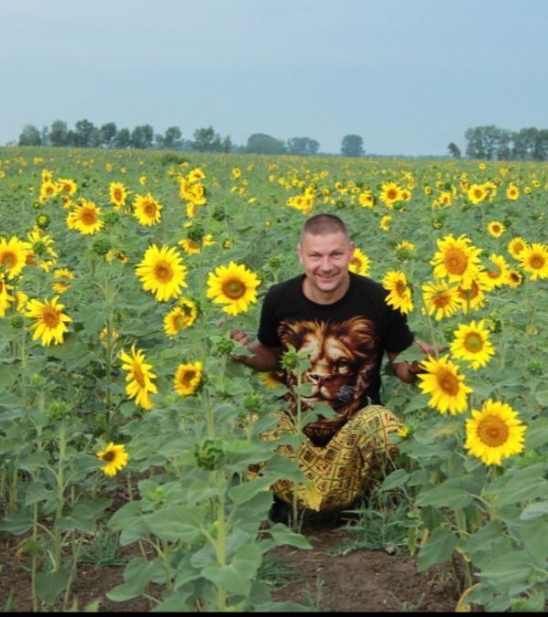 ���������� �����, ���� ������� �����, 38 ���, ������������ ��� ������, ����� � ���������, c�������� ���������