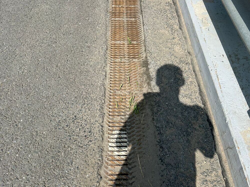  -,   , 41 ,   ,   