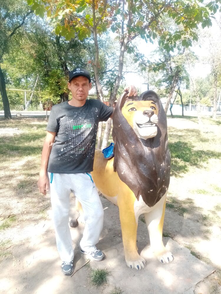 ���� 23336997 ������� �����, 42 ����, ���� ���������� � ������