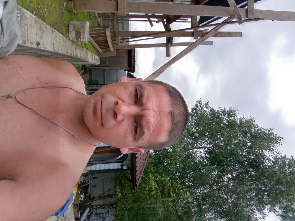  53365787  , 32 ,    