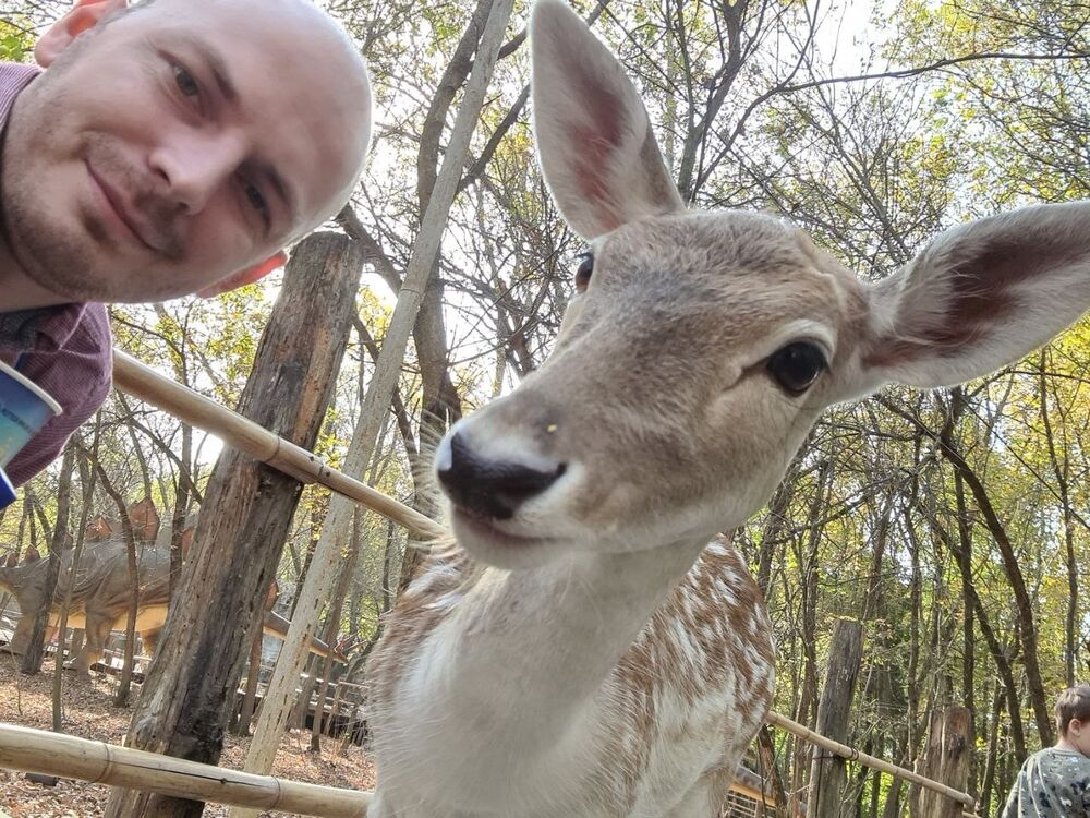 ���� 56124907 ������� ���, 35 ���, ���� ���������� � ����-��������