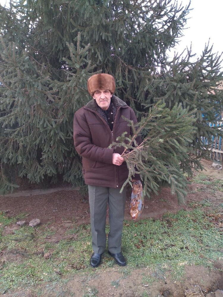 ���� 41358577 ������� ����, 66 ���, ���� ���������� � ���������