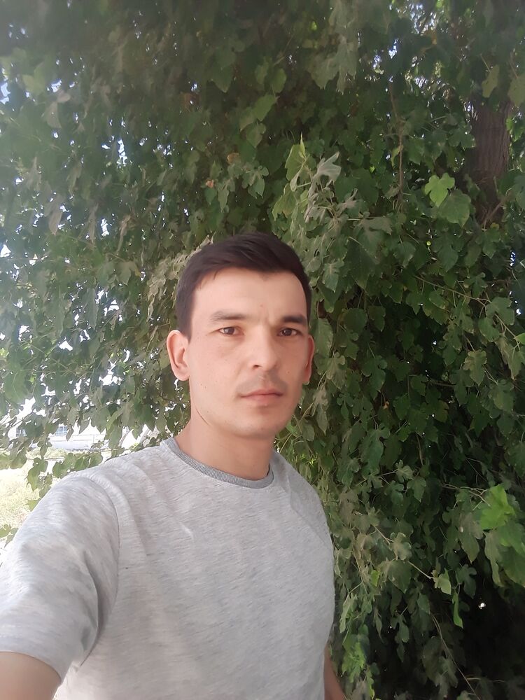  23600227  Gylych, 31 ,    