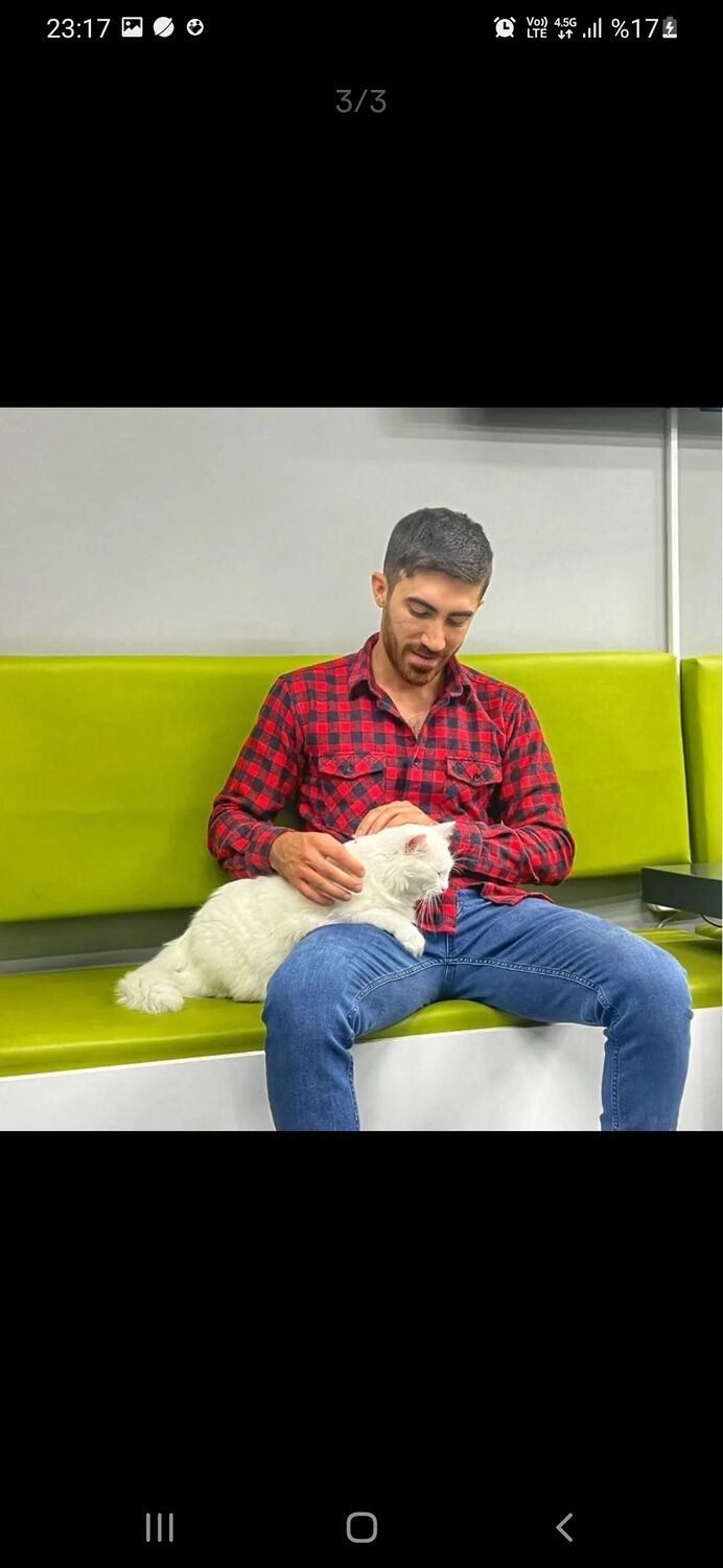  ,   Samil, 29 ,   ,   