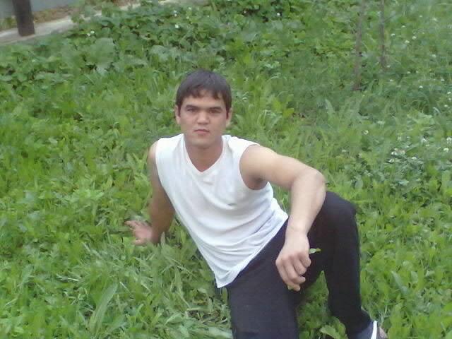 ���� 5290087 ������� Safar, 34 ����, ���� ���������� � �������