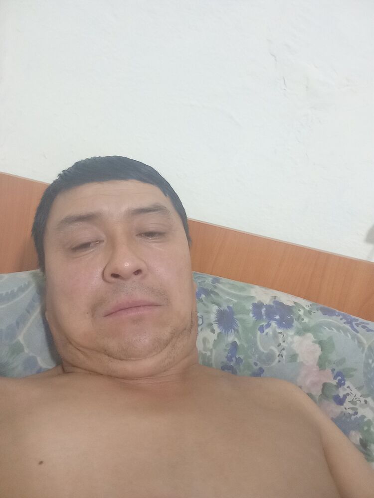  48128117  , 44 ,    