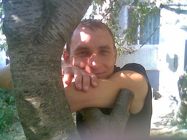  48255947  , 47 ,    